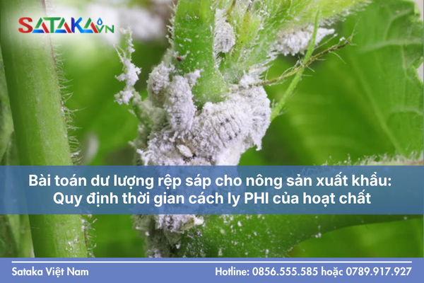 Bài toán dư lượng rệp sáp cho nông sản xuất khẩu: Quy định thời gian cách ly PHI của hoạt chất