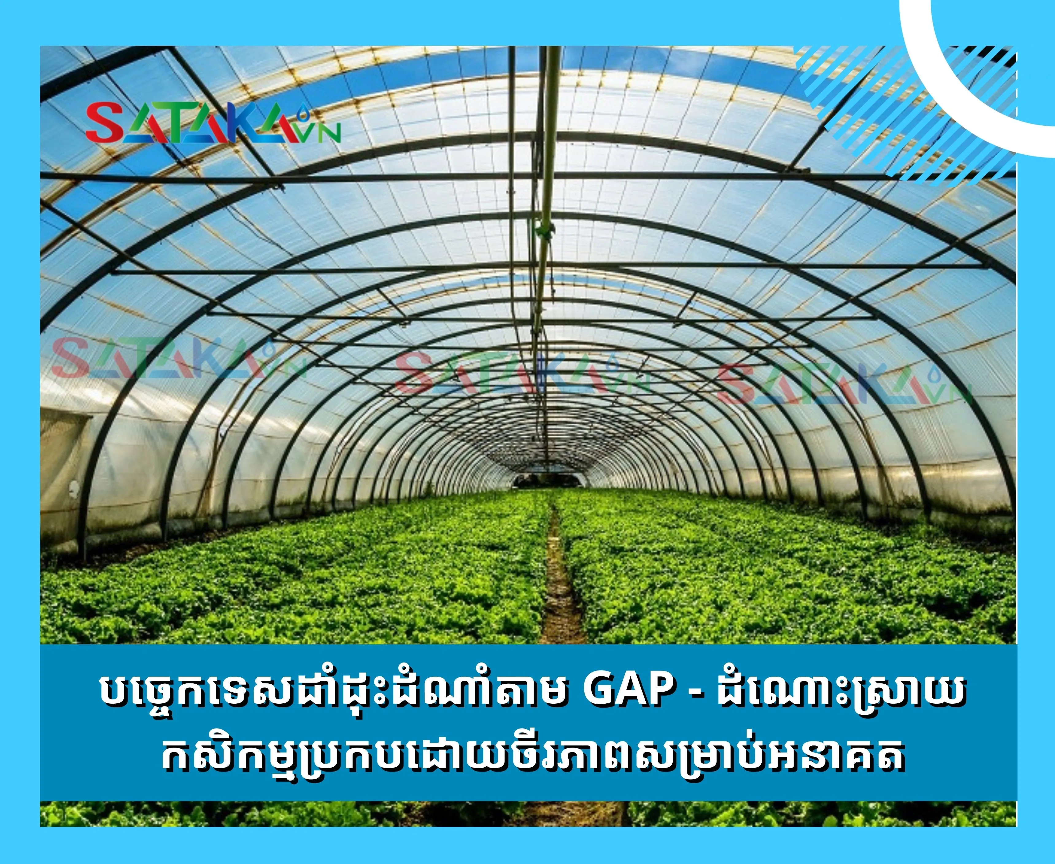 បច្ចេកទេសដាំដុះដំណាំតាម GAP - ដំណោះស្រាយកសិកម្មប្រកបដោយចីរភាពសម្រាប់អនាគត