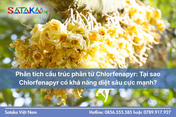Phân tích cấu trúc phân tử Chlorfenapyr: Tại sao Chlorfenapyr có khả năng diệt sâu cực mạnh?