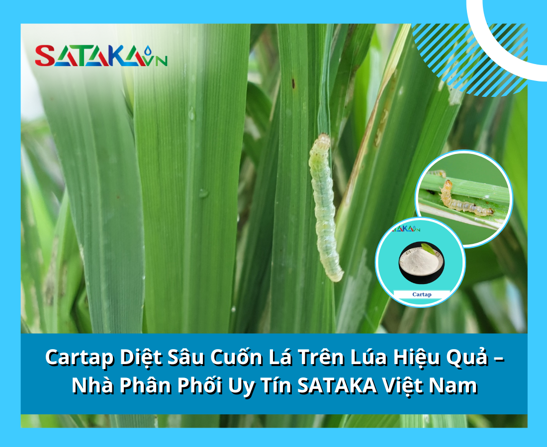 Cartap Diệt Sâu Cuốn Lá Trên Lúa Hiệu Quả – Nhà Phân Phối Uy Tín SATAKA Việt Nam