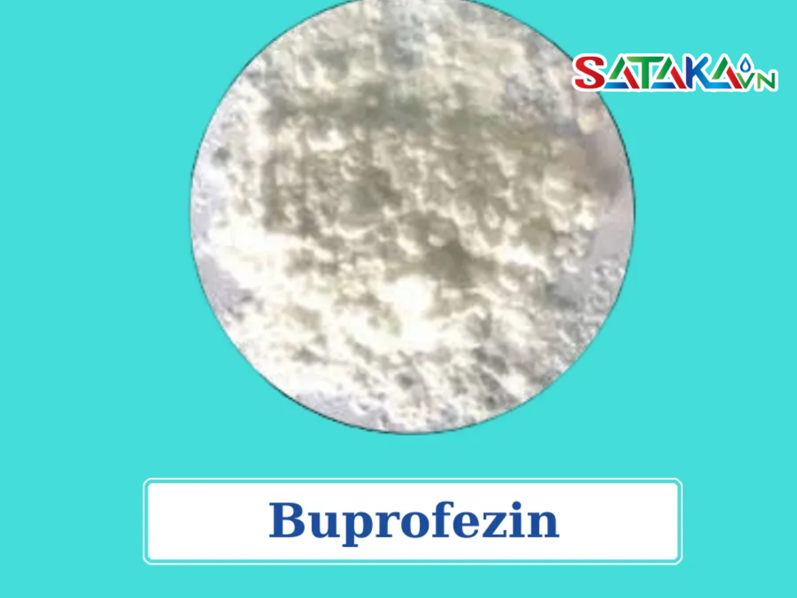 联用 Dinotefuran 与 Buprofezin 防治水稻褐飞虱