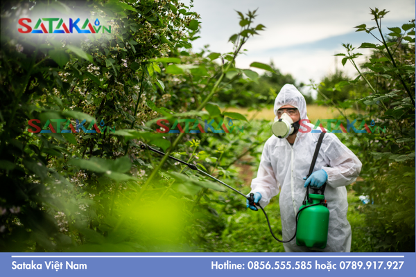 Câu hỏi thường gặp