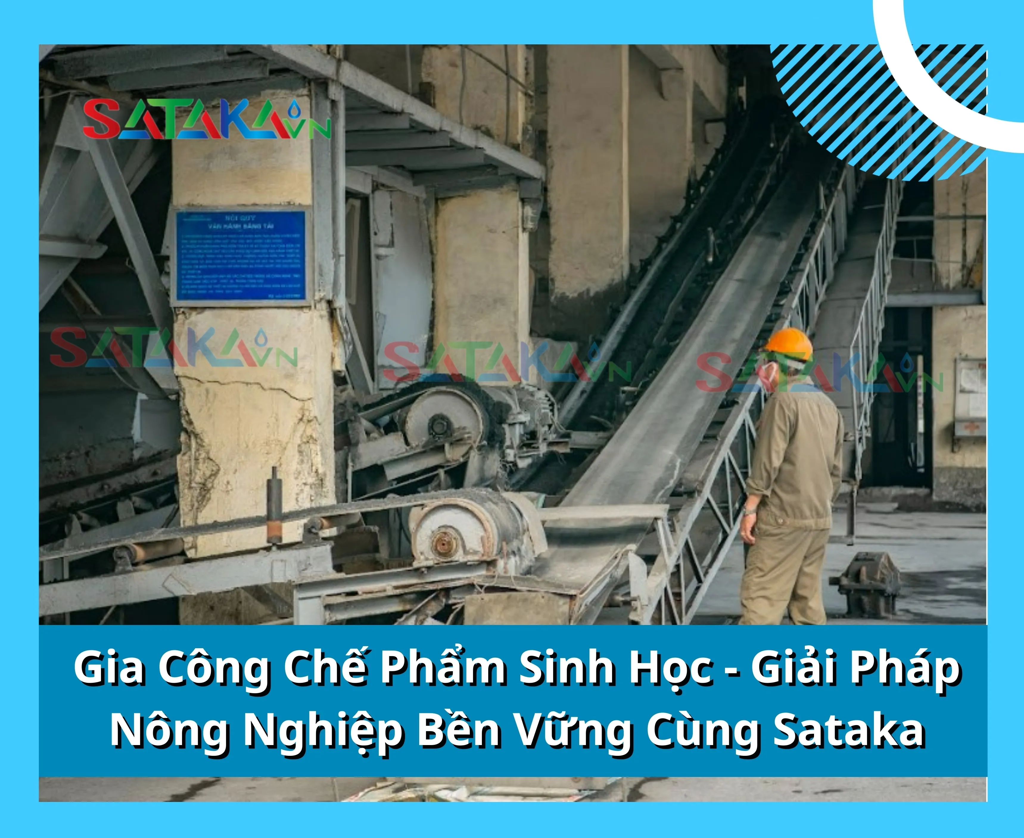 Gia Công Chế Phẩm Sinh Học - Giải Pháp Nông Nghiệp Bền Vững Cùng Sataka