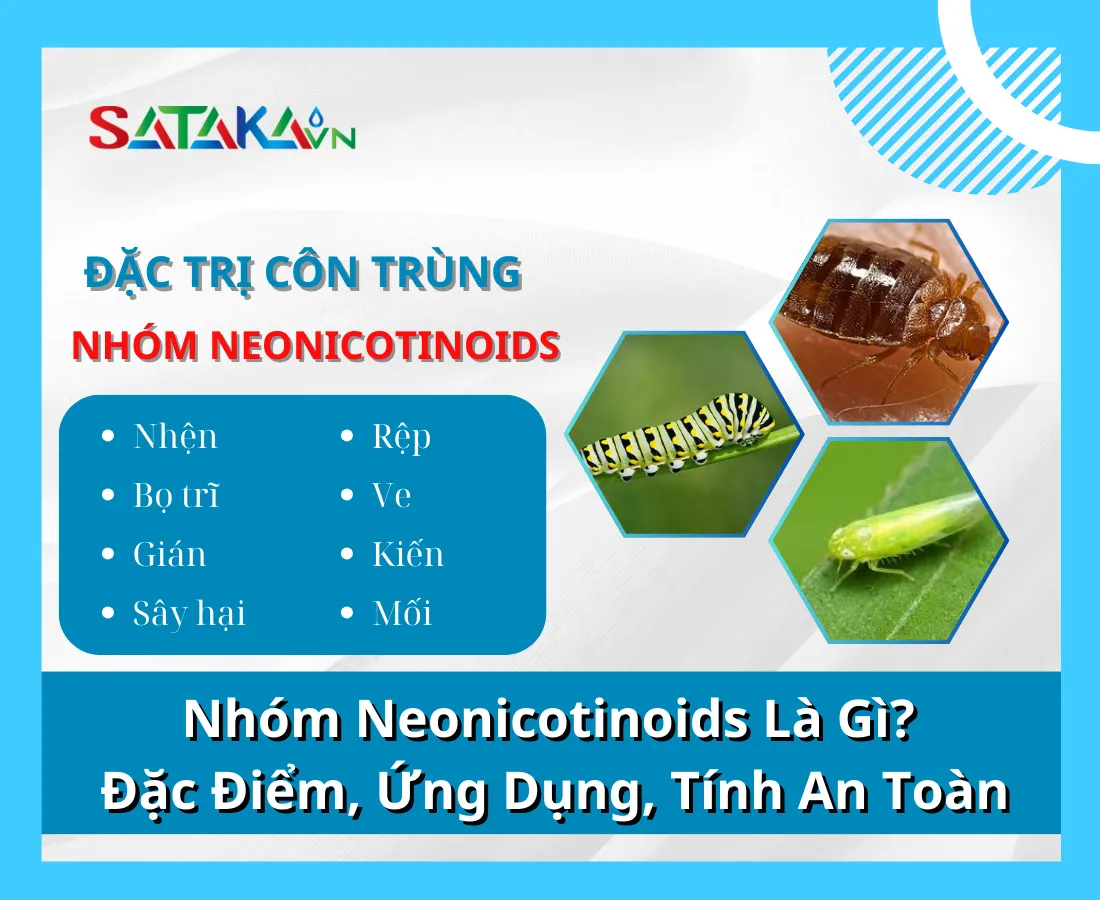 Nhóm Neonicotinoids Là Gì? Đặc Điểm, Ứng Dụng, Tính An Toàn