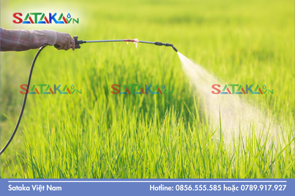 Câu hỏi thường gặp