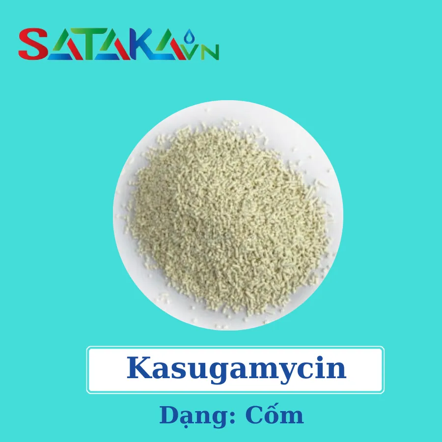 KASUGAMYCIN 2%