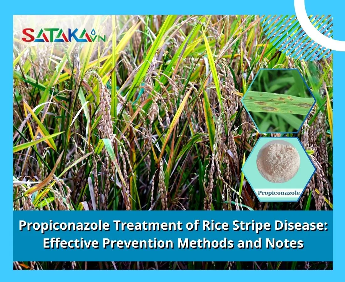 Propiconazole Treatment of Rice Stripe Disease: Effective Prevention Methods and Notes