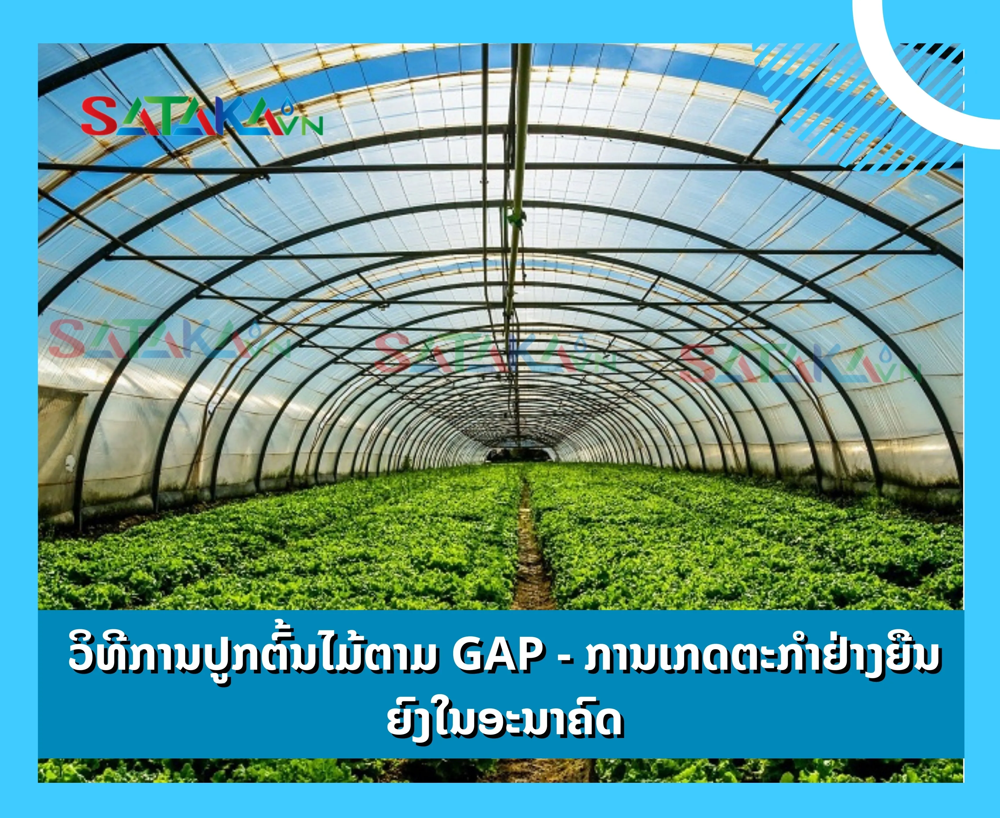 ວິທີການປູກຕົ້ນໄມ້ຕາມ GAP - ການເກດຕະກຳຢ່າງຍືນຍົງໃນອະນາຄົດ
