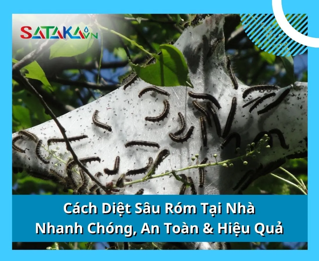 Cách Diệt Sâu Róm Tại Nhà Nhanh Chóng, An Toàn & Hiệu Quả