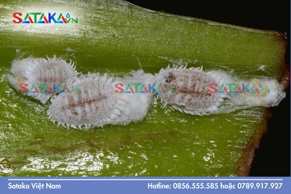 Câu hỏi thường gặp