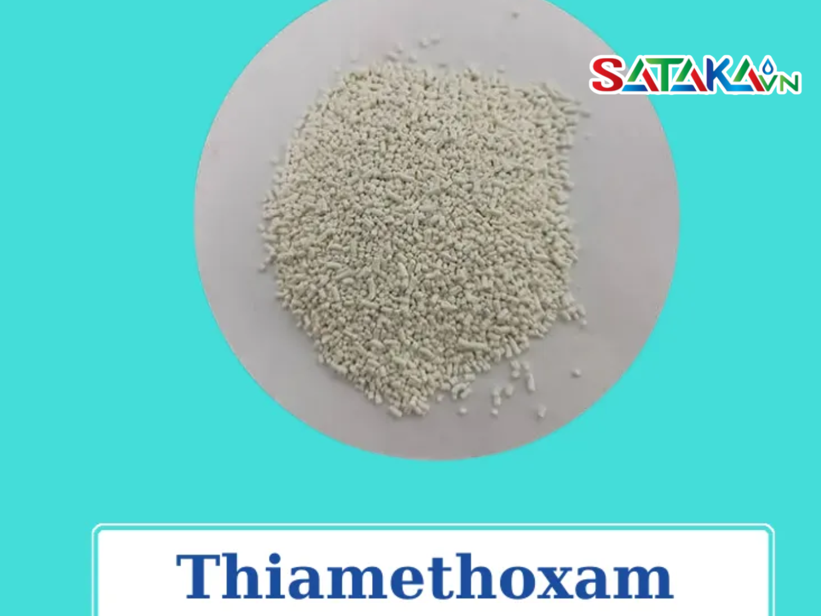 Thiamethoxam diệt bọ trĩ trên lúa
