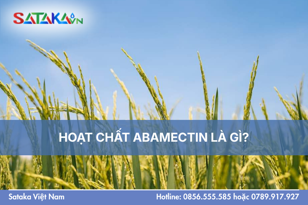 HOẠT CHẤT ABAMECTIN LÀ GÌ?