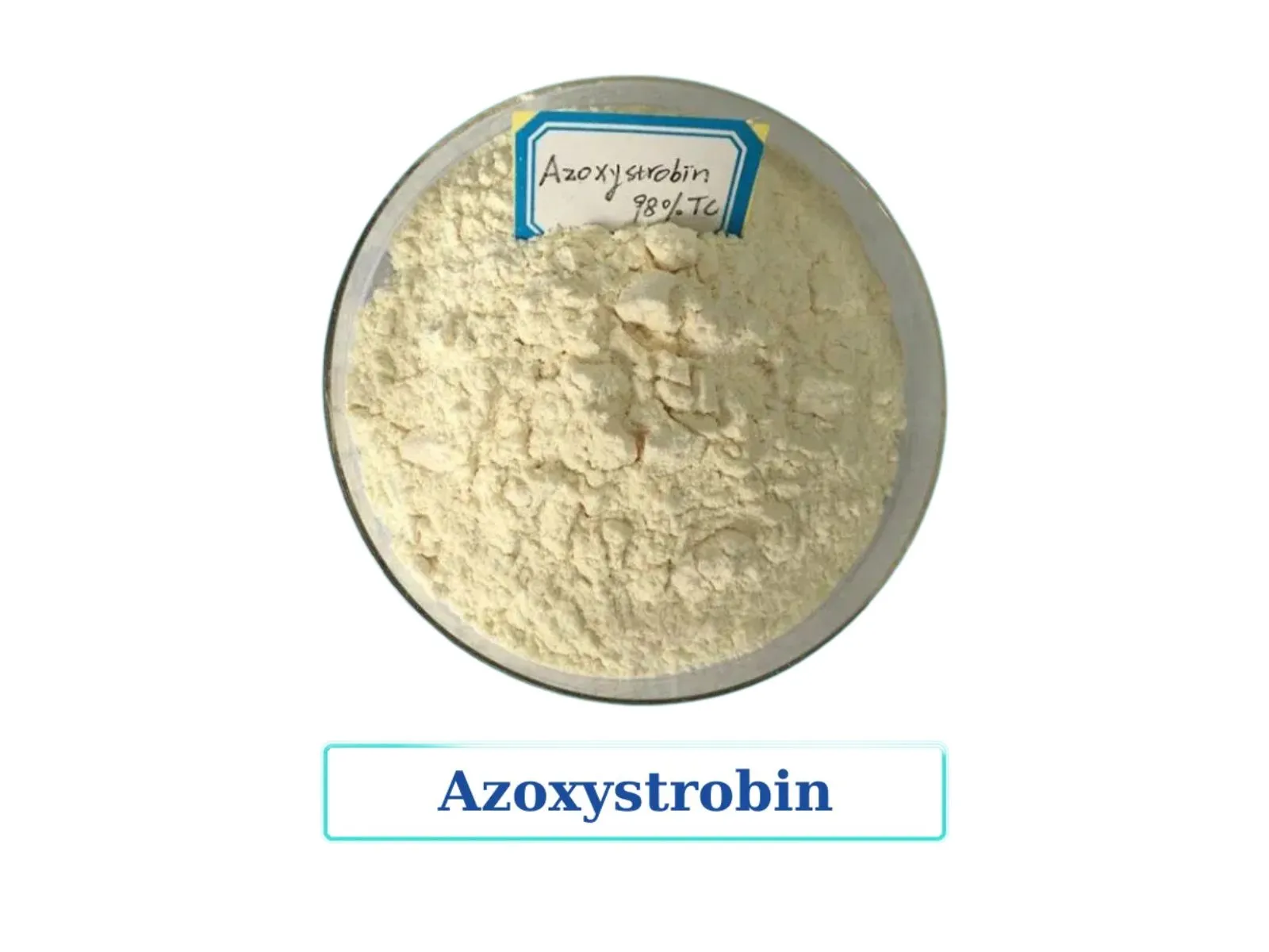 Propiconazole can be combined with the active ingredient Azoxystrobin.
