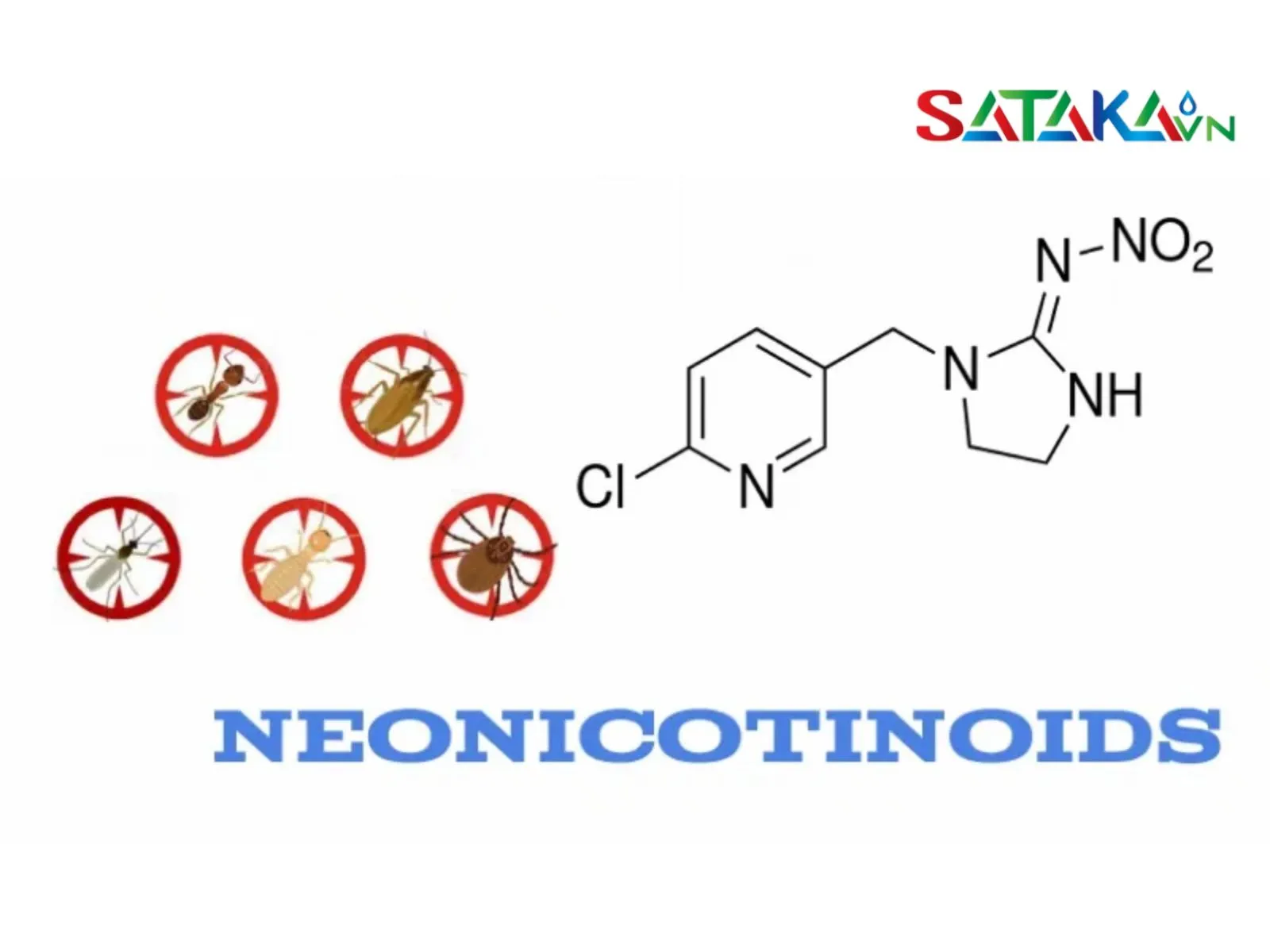 The neonicotinoids group specializes in treating insects