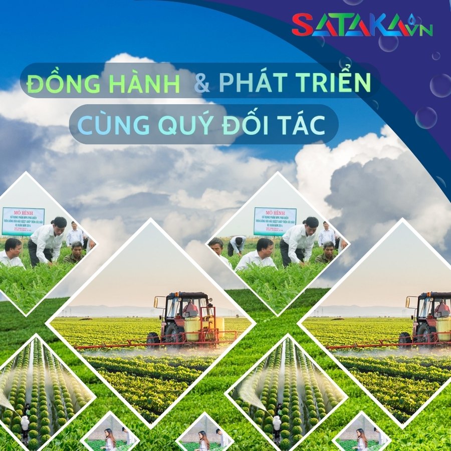 CÔNG TY CỔ PHẦN SATAKA VIỆT NAM