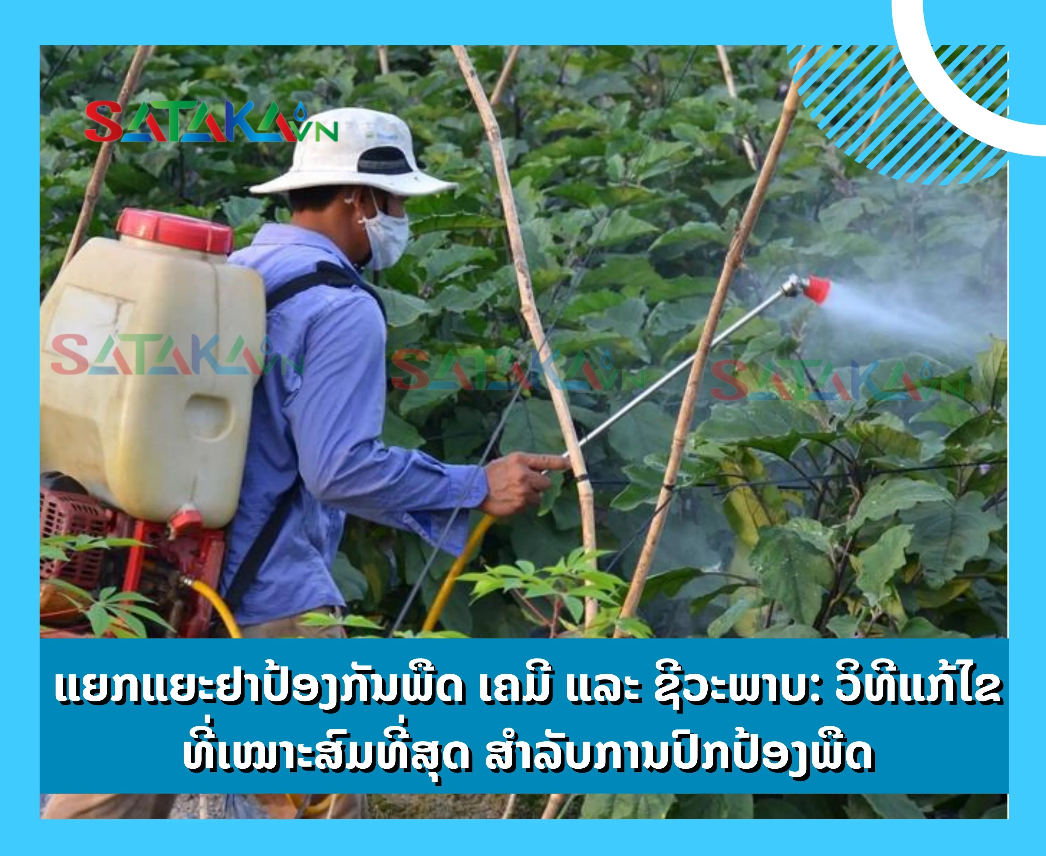 ແຍກແຍະຢາປ້ອງກັນພືດ ເຄມີ ແລະ ຊີວະພາບ: ວິທີແກ້ໄຂທີ່ເໝາະສົມທີ່ສຸດ ສໍາລັບການປົກປ້ອງພືດ