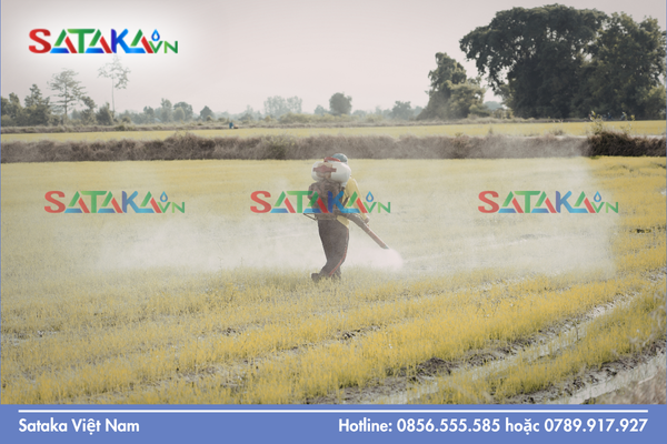 Những lưu ý và kiêng kỵ "sống còn" khi phối trộn hóa chất