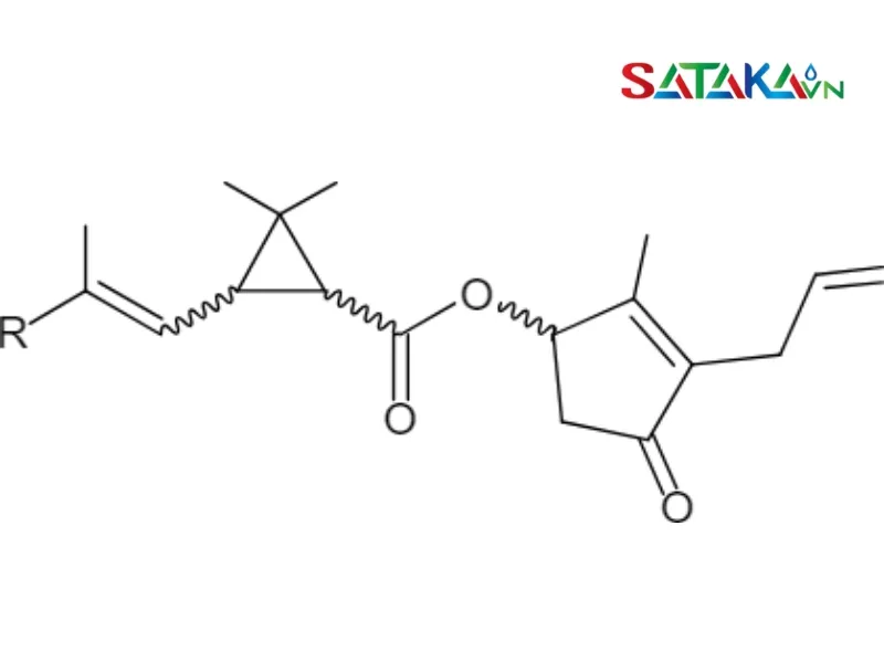 Pyrethroid ແມ່ນຫຍັງ?