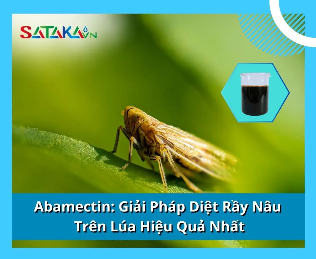 Abamectin: Giải Pháp Diệt Rầy Nâu Trên Lúa Hiệu Quả Nhất