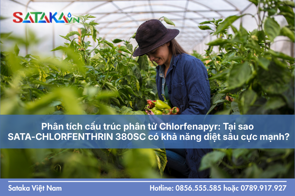 Phân tích cấu trúc phân tử Chlorfenapyr: Tại sao SATA-CHLORFENTHRIN 380SC có khả năng diệt sâu cực mạnh?