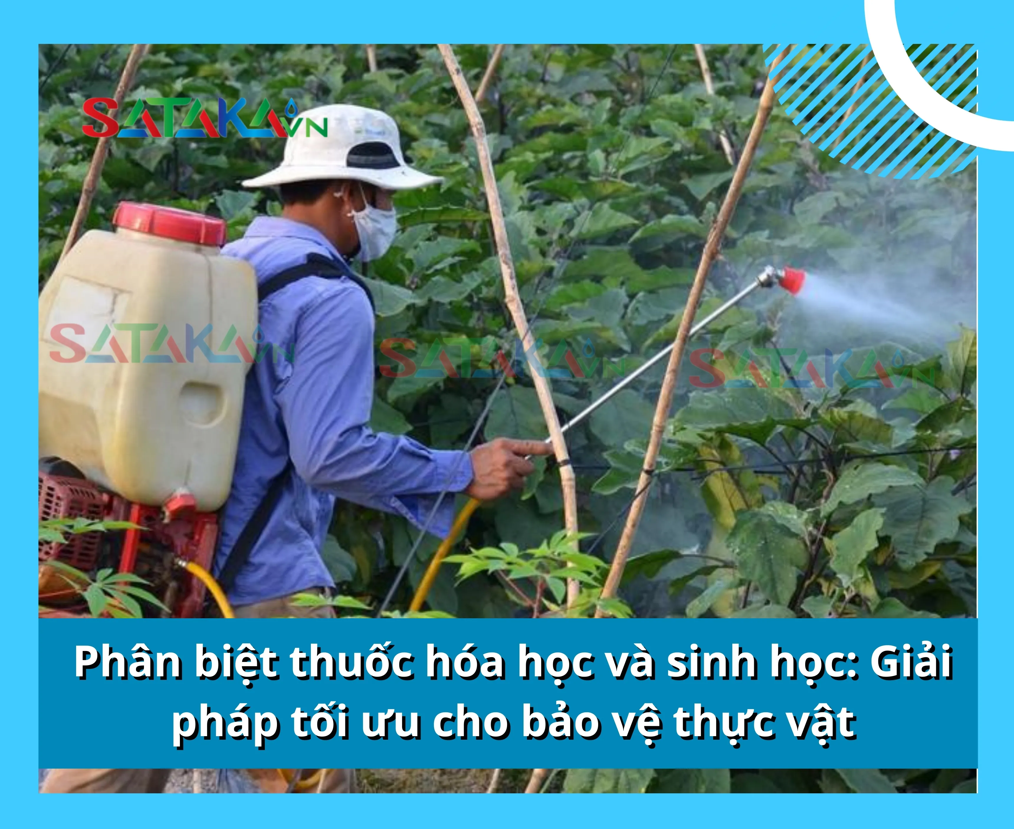 Phân biệt thuốc hóa học và sinh học: Giải pháp tối ưu cho bảo vệ thực vật