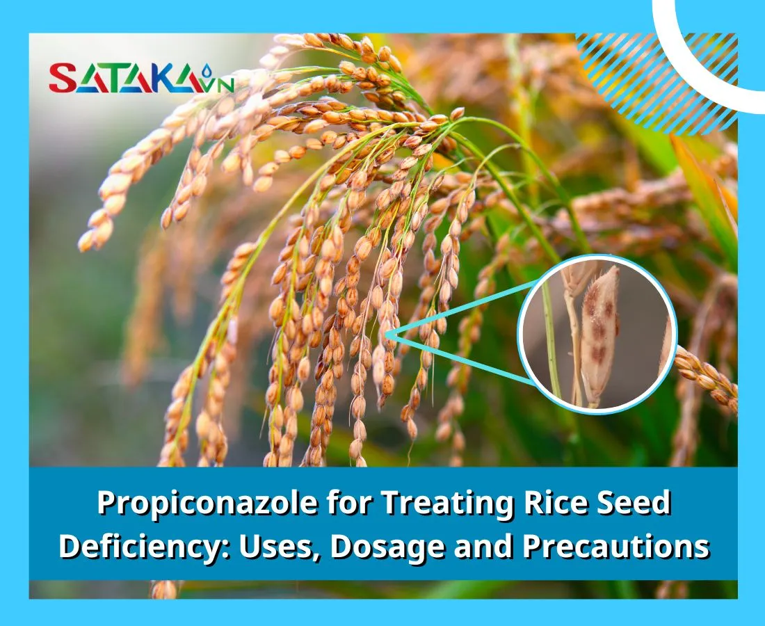Propiconazole for Treating Rice Seed Deficiency: Uses, Dosage and Precautions