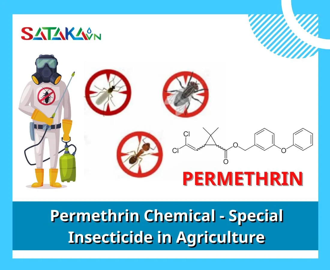 Permethrin Chemical - Special Insecticide in Agriculture