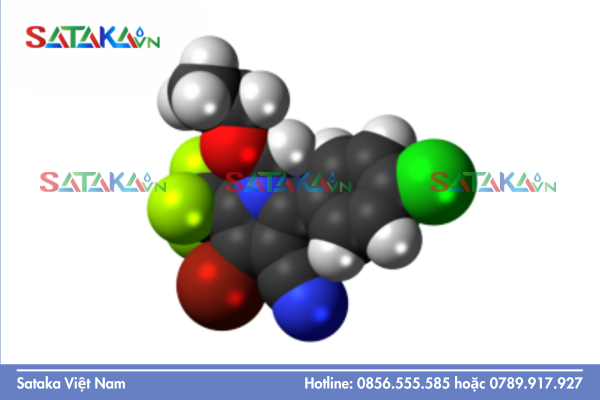 Chlorfenapyr là gì? Hoạt chất phổ rộng Nhóm 13 (IRAC)