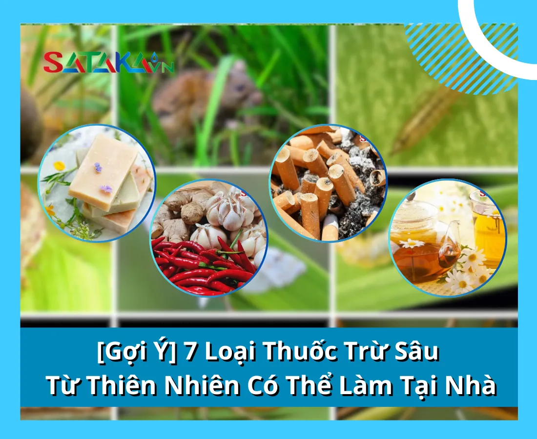 [Gợi Ý] 7 Loại Thuốc Trừ Sâu Từ Thiên Nhiên Có Thể Làm Tại Nhà