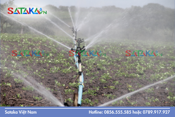 Câu hỏi thường gặp