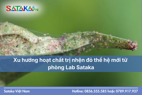 Xu hướng hoạt chất trị nhện đỏ thế hệ mới từ phòng Lab Sataka