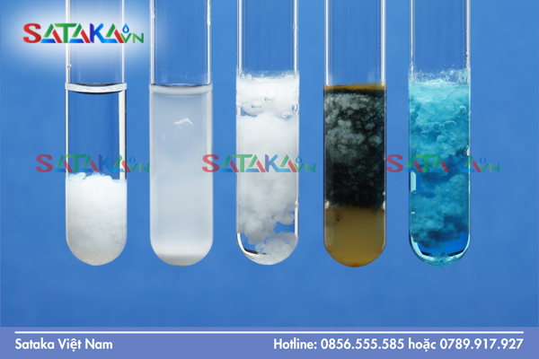  SOP pha thuốc Sataka: Thứ tự phối trộn chuẩn để tránh kết tủa