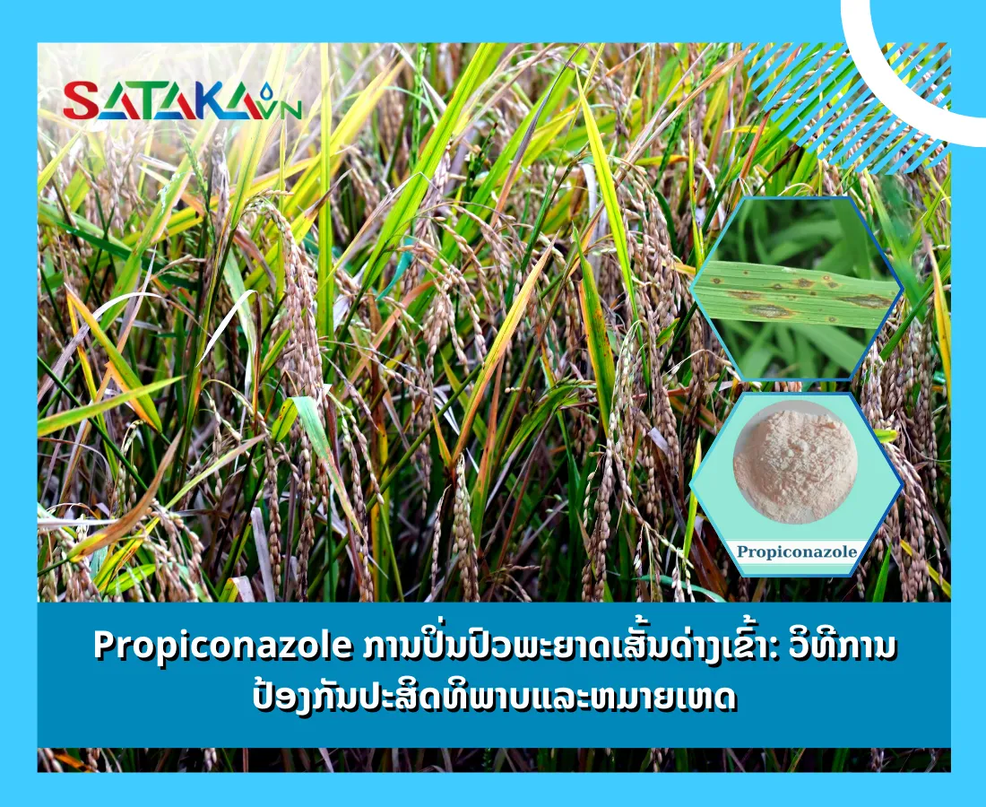 Propiconazole ການປິ່ນປົວພະຍາດເສັ້ນດ່າງເຂົ້າ: ວິທີການປ້ອງກັນປະສິດທິພາບແລະຫມາຍເຫດ