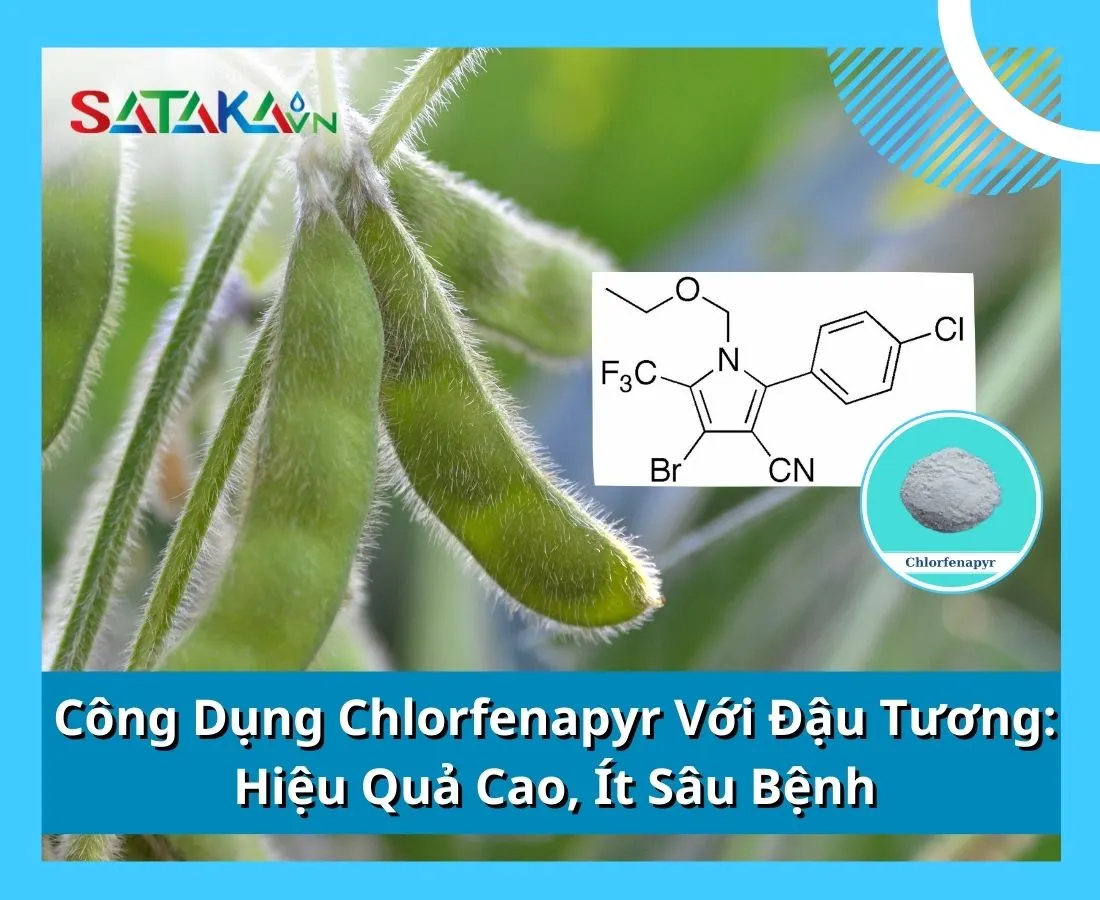 Công Dụng Chlorfenapyr Với Đậu Tương: Hiệu Quả Cao, Ít Sâu Bệnh