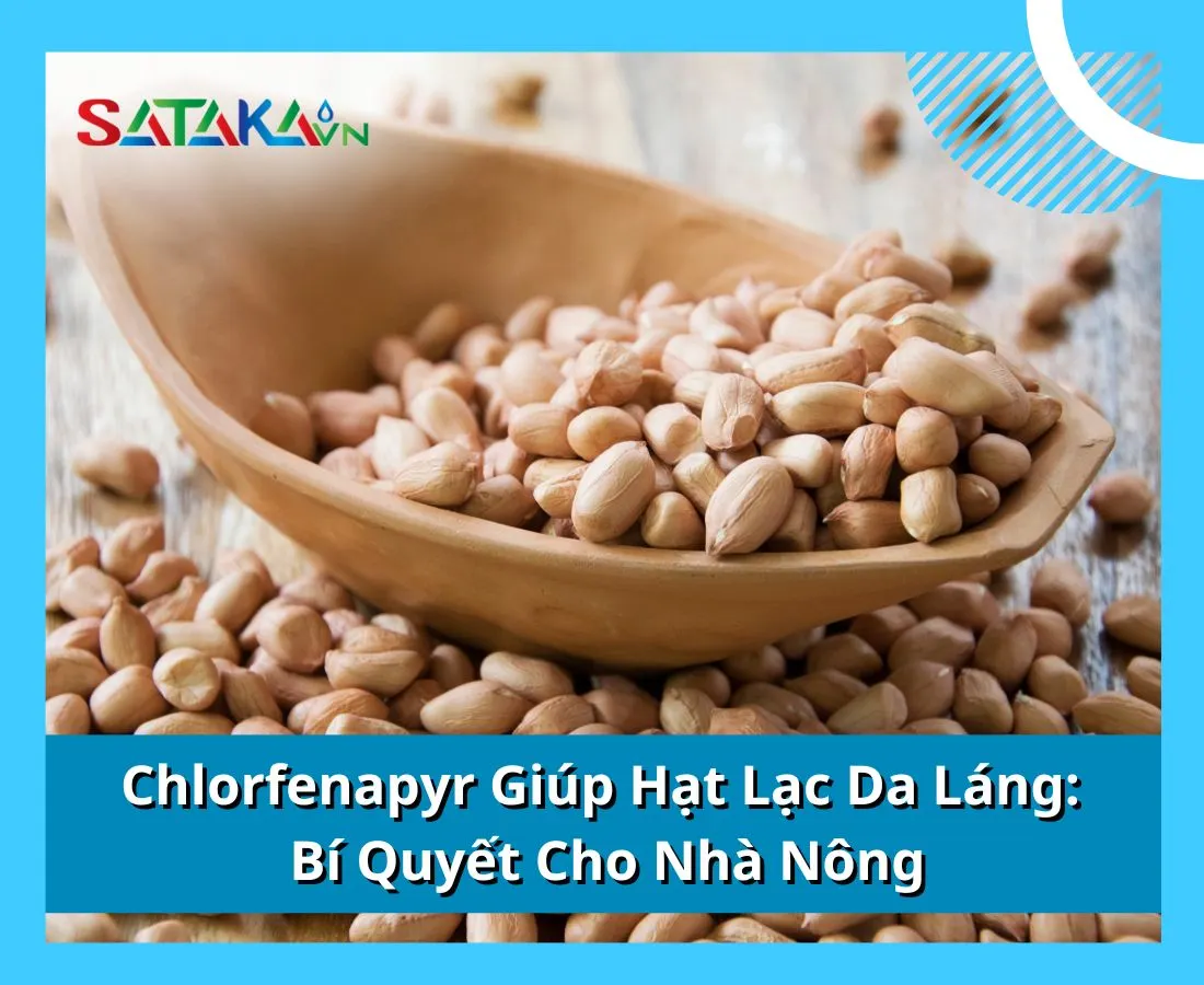 Chlorfenapyr Giúp Hạt Lạc Da Láng: Bí Quyết Cho Nhà Nông