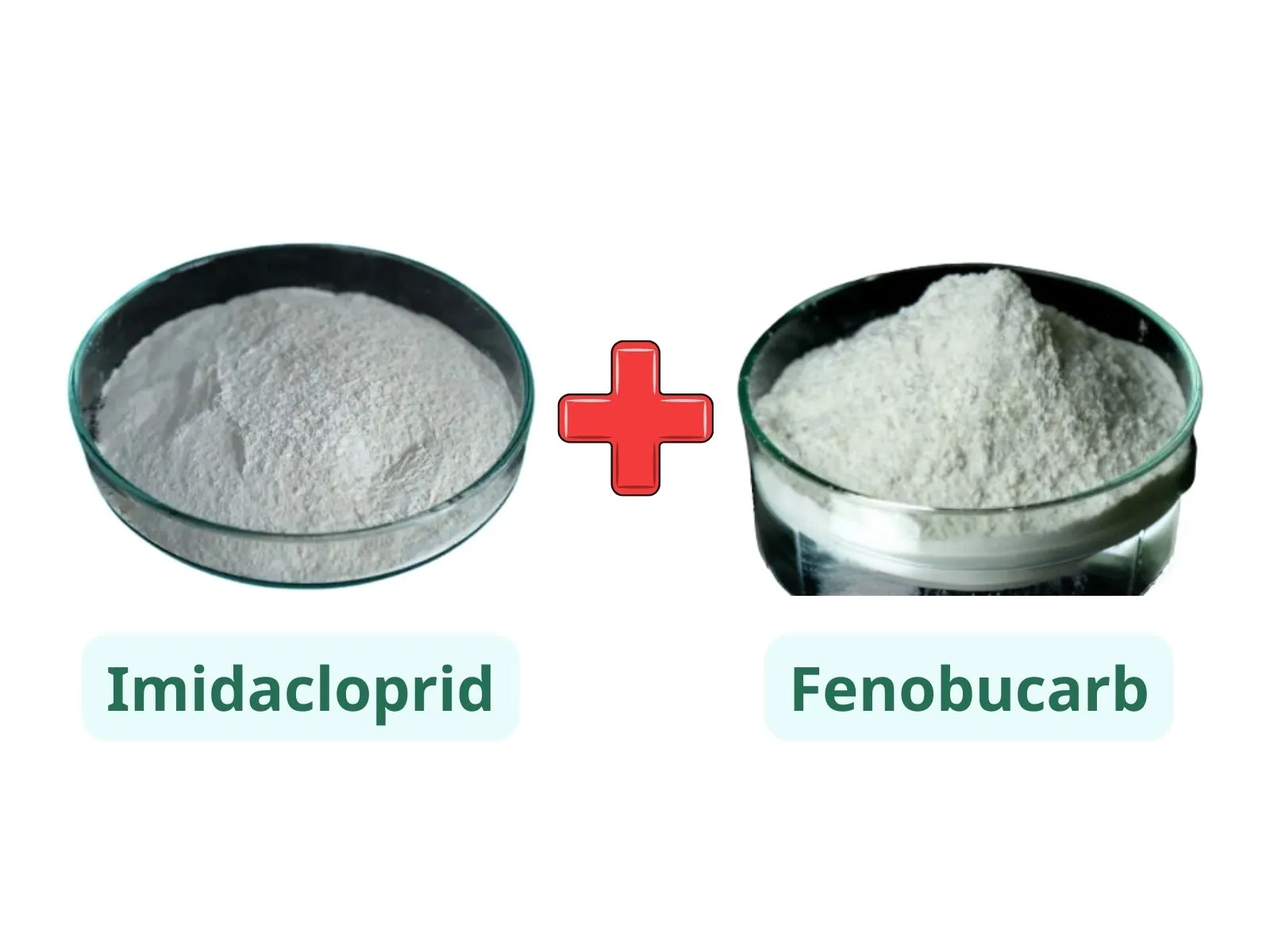 Kết hợp Imidacloprid và Fenobucarb