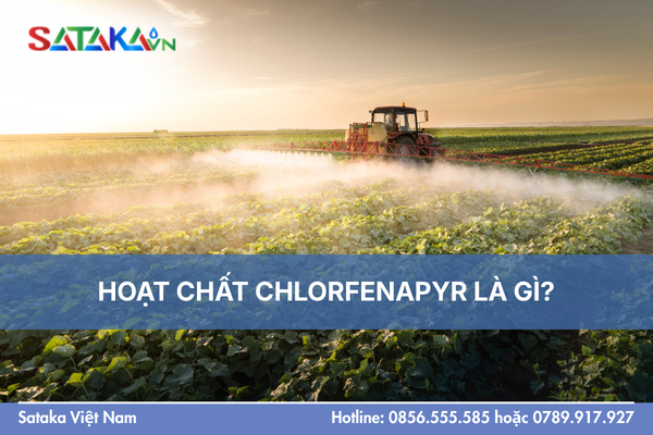HOẠT CHẤT CHLORFENAPYR LÀ GÌ?