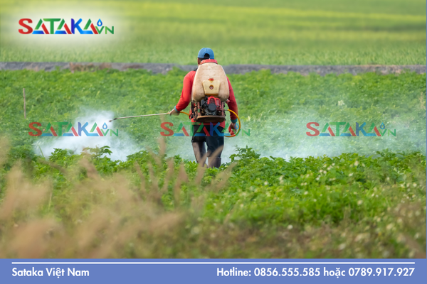 Câu hỏi thường gặp 