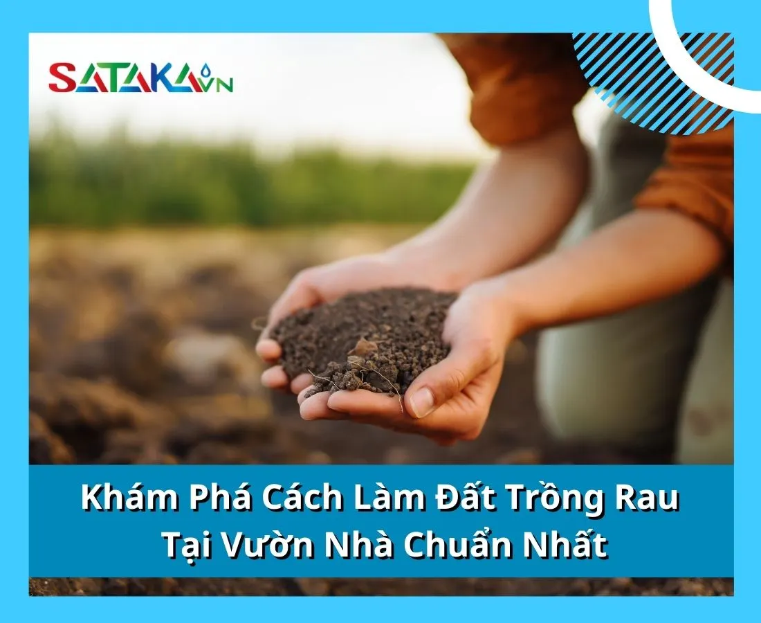 Khám Phá Cách Làm Đất Trồng Rau Tại Vườn Nhà Chuẩn Nhất