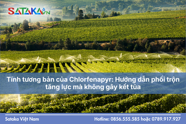 Tính tương bản của Chlorfenapyr: Hướng dẫn phối trộn tăng lực mà không gây kết tủa