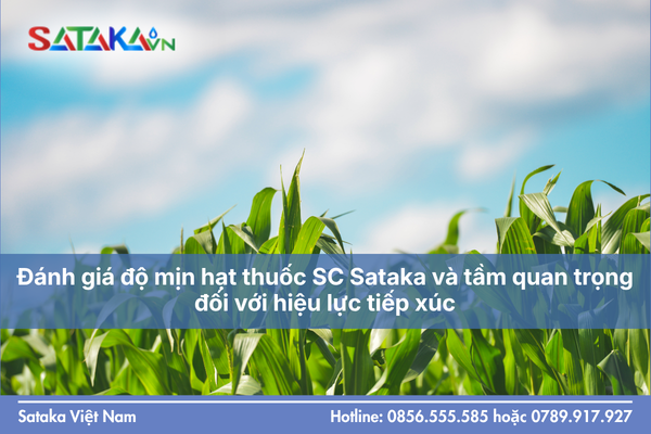 Đánh giá độ mịn hạt thuốc SC Sataka và tầm quan trọng đối với hiệu lực tiếp xúc