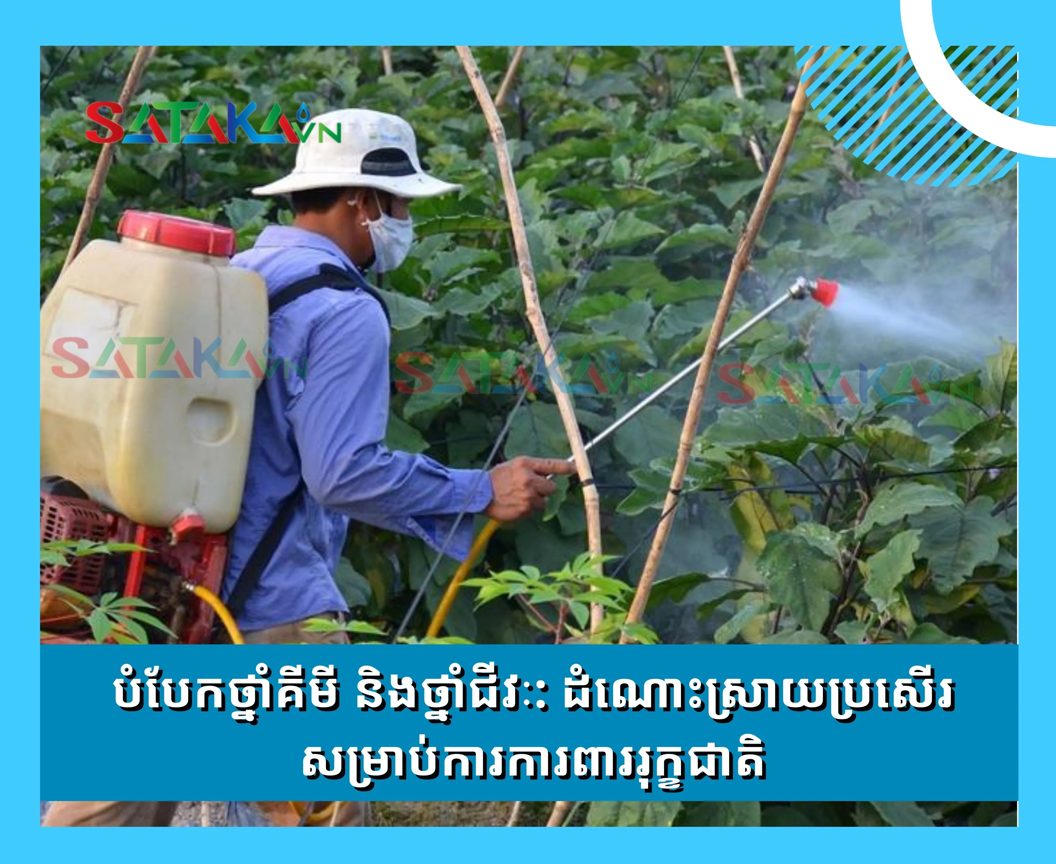 បំបែកថ្នាំគីមី និងថ្នាំជីវៈ: ដំណោះស្រាយប្រសើរ សម្រាប់ការការពាររុក្ខជាតិ