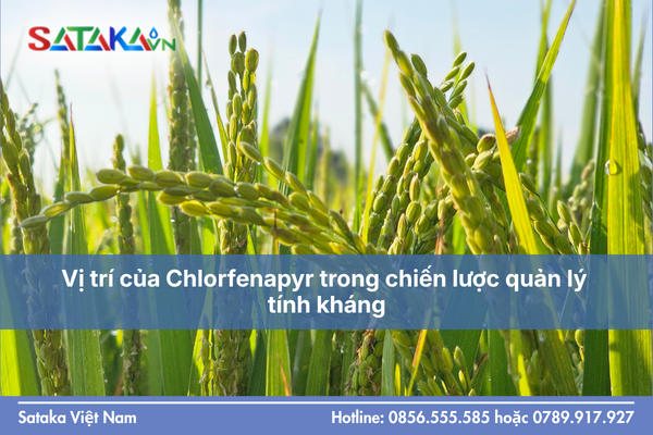 Vị trí của Chlorfenapyr trong chiến lược quản lý tính kháng