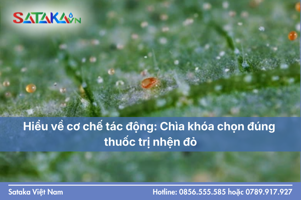 Hiểu về cơ chế tác động hoạt chất: Chìa khóa chọn đúng thuốc trị nhện đỏ