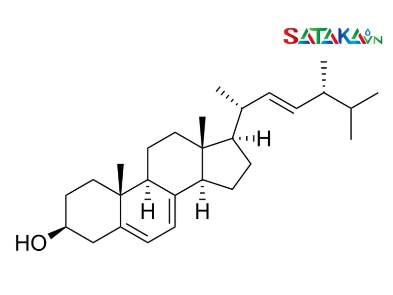 ກຸ່ມ Ergosterol ແມ່ນຫຍັງ?