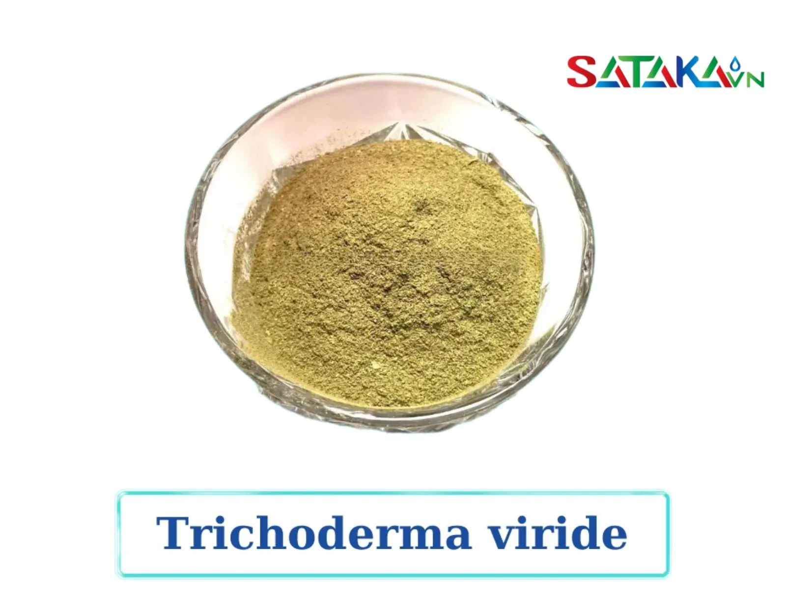 Chế phẩm từ Trichoderma