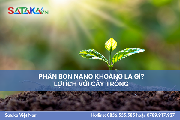 PHÂN BÓN NANO KHOÁNG LÀ GÌ? LỢI ÍCH VỚI CÂY TRỒNG