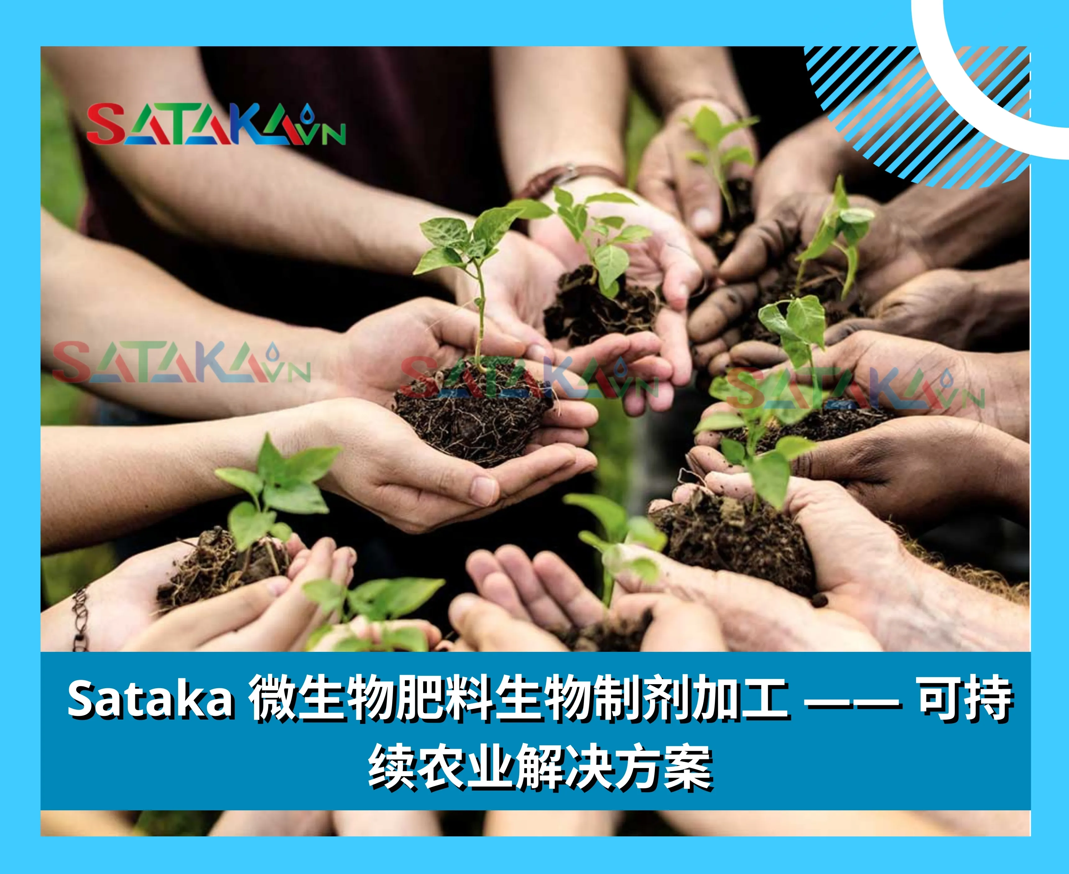 Sataka 微生物肥料生物制剂加工 —— 可持续农业解决方案