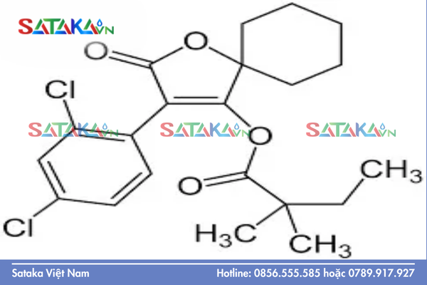 Spirodiclofen là gì?