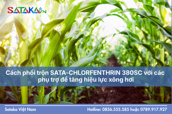 Cách phối trộn SATA-CHLORFENTHRIN 380SC với các phụ trợ để tăng hiệu lực xông hơi